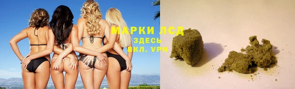 хмурый Абаза