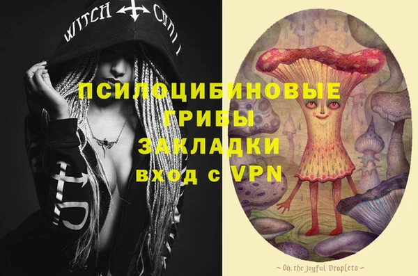 МДПВ Абдулино