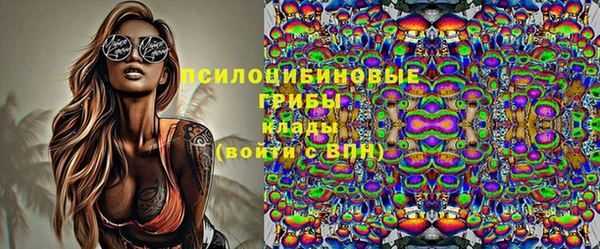 хмурый Абаза