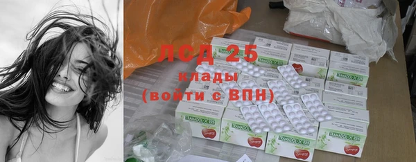 хмурый Абаза